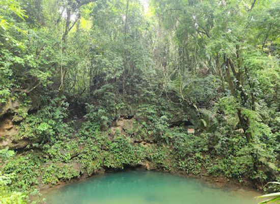 belize/orange-walk-district/landmark/st-herman-s-blue-hole-national-park
