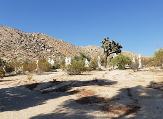 california/joshua-tree-national-park/landmark/desert-christ-park