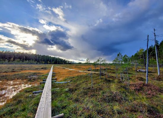 finland/central-finland/landmark/pyha-hakki-national-park