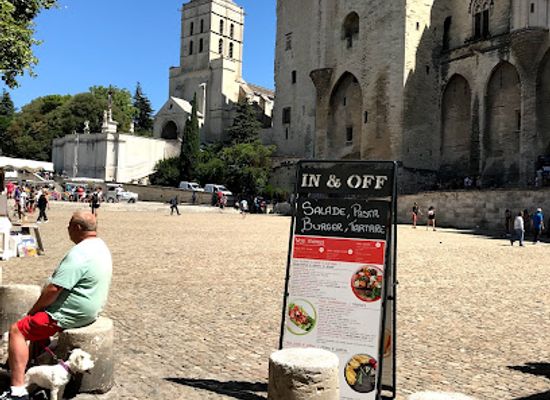 france/rhone-alpes/landmark/visite-avignon