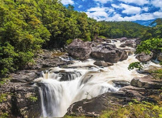 madagascar/diana/landmark/ranomafana-national-park