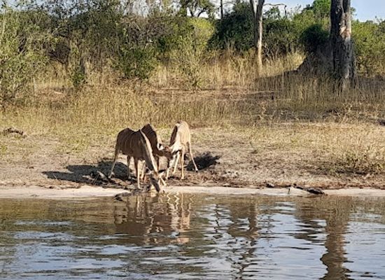 botswana/chobe-national-park/landmark/chobe
