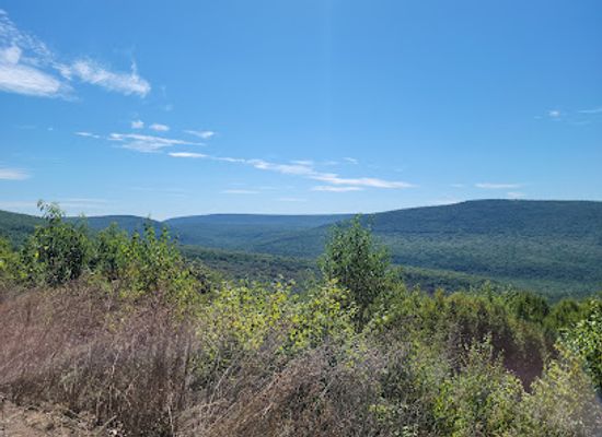 pennsylvania/happy-valley/landmark/bear-meadows-natural-area
