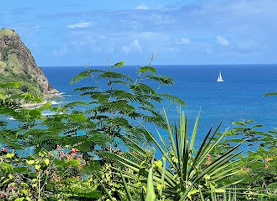 saint-lucia/castries-quarter/landmark/adventure-tours-st-lucia