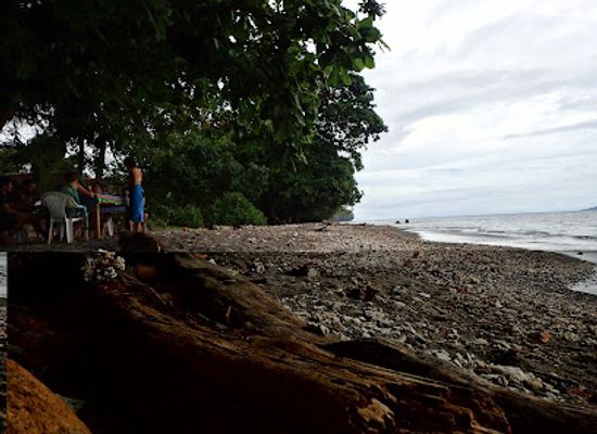 solomon-islands/bonegi-beach/landmark/dolphin-view-beach