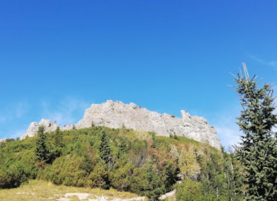 poland/beskid-niski-mountains/landmark/sarnia-skala