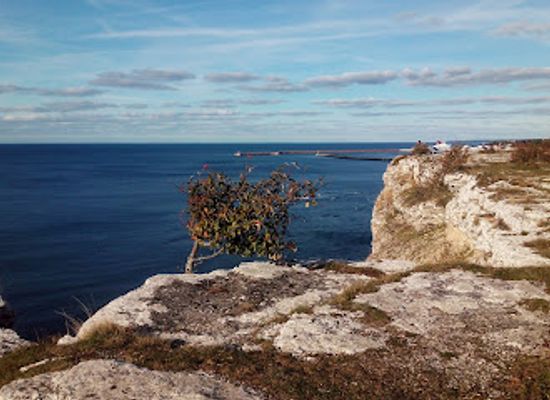 sweden/visby/attraction/sodra-hallarna