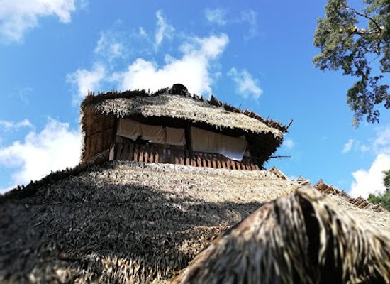ecuador/sierra/landmark/reserva-de-produccion-de-fauna-cuyabeno