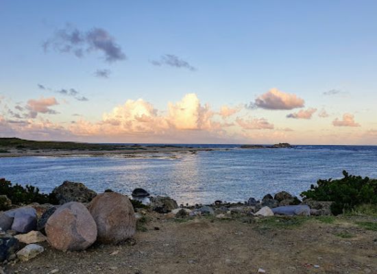 sint-maarten/le-galion-beach/landmark/parotte-ville-bird-park