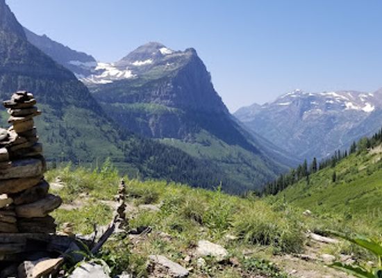 montana/glacier-national-park/landmark/glacier-national-park-goat-lick
