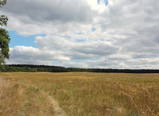 netherlands/hoge-veluwe-national-park/landmark/ugchelen-hoenderloo-veluwe