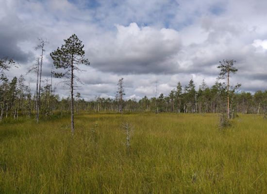 finland/north-karelia/landmark/patvinsuo-national-park