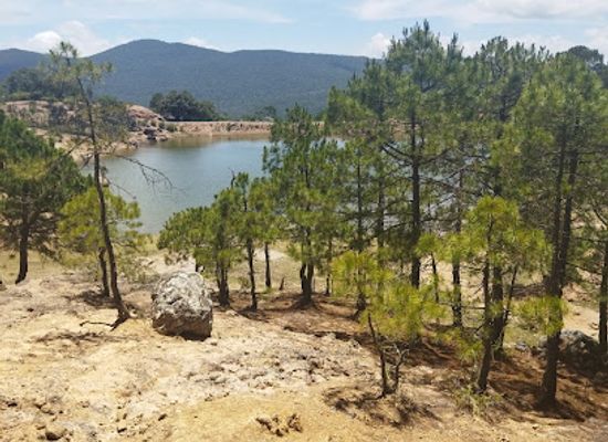 mexico/sierra-madre-oriental/landmark/el-pinalito-de-palomas
