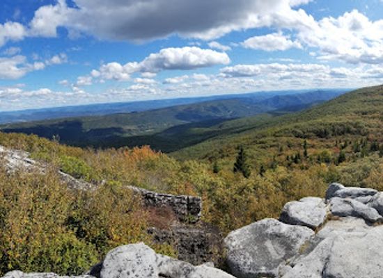 west-virginia/dolly-sods-wilderness/landmark/bear-rocks-preserve