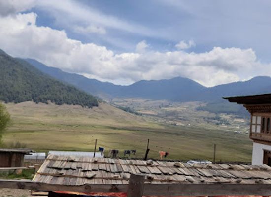 bhutan/phobjikha-valley/landmark/black-necked-crane-visitor-centre-phobjikha