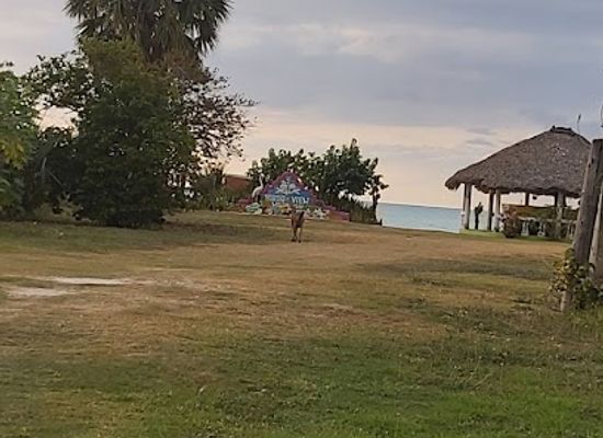jamaica/pedro-plains/landmark/parrotee-pond