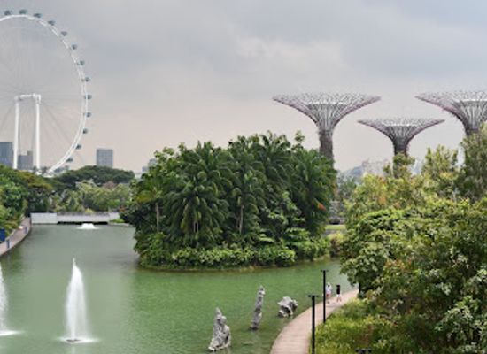 singapore/north-region/landmark/supertree-grove