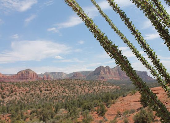 arizona/red-rock-country/landmark/cathedral-rock-trailhead