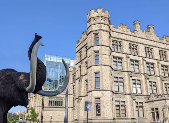 canada/halifax/landmark/museum-of-natural-history