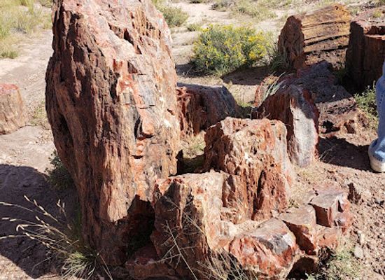arizona/petrified-forest-national-park/landmark/newspaper-rock-state-historic-monument