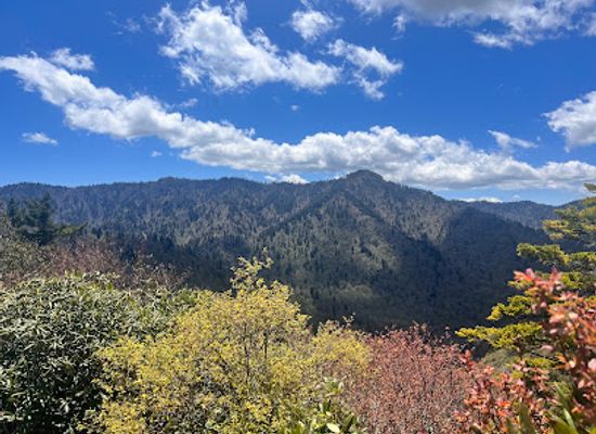 north-carolina/great-smoky-mountains/landmark/inspiration-point