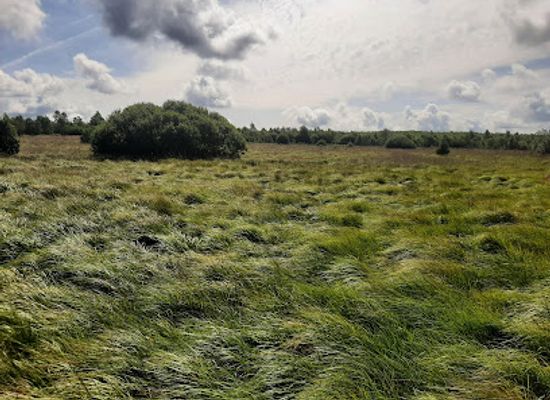 belgium/hautes-fagnes/landmark/fagne-de-la-poleur