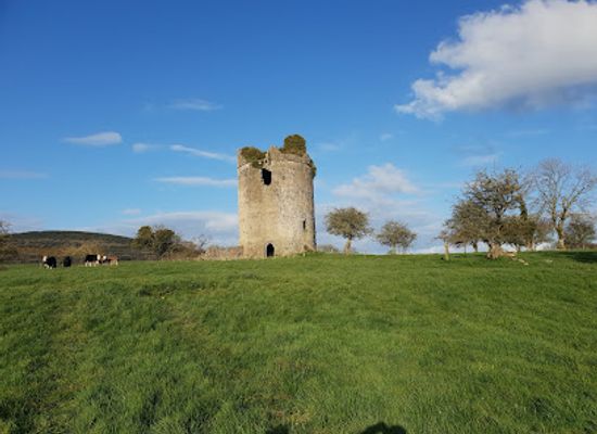 ireland/county-kilkenny/landmark/balief-castle