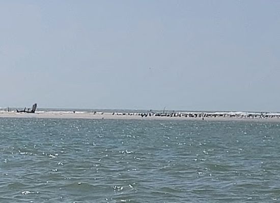 senegal/saint-louis-region/landmark/langue-de-barbarie-national-park