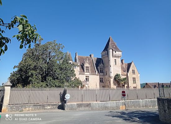 france/périgord-noir/landmark/chateau-des-milandes