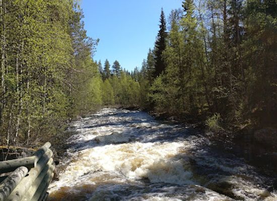 finland/hossa-national-park/landmark/lounatkoski