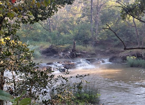 malawi/majete-wildlife-reserve/landmark/lilongwe-wildlife-centre