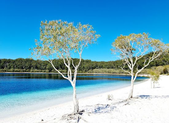 australia/fraser-island/landmark/fraser-island-adventure-tours