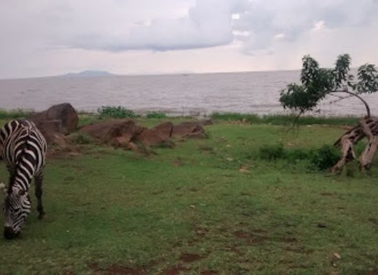 kenya/kisumu/landmark/kisumu-impala-park-wildlife-sanctuary-office
