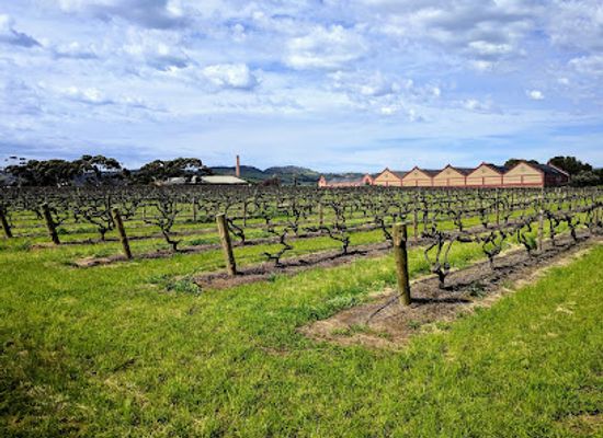 australia/barossa-valley/landmark/chateau-tanunda