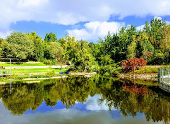israel/jerusalem-district/landmark/the-jerusalem-botanical-gardens