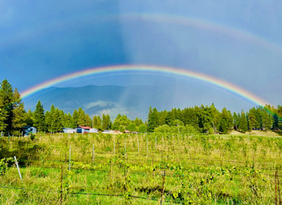 montana/the-flathead/landmark/white-raven-winery-and-vineyard