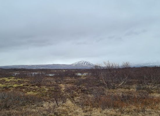 iceland/eastern-region/landmark/ofugsnaoi