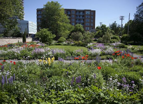 canada/ottawa/westboro/landmark/maplelawn-garden