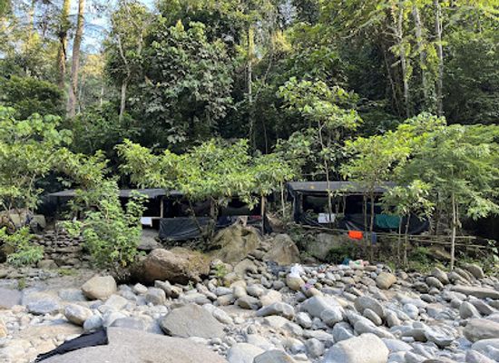 indonesia/bukit-lawang/landmark/local-guides-bukit-lawang-jungle-trekking