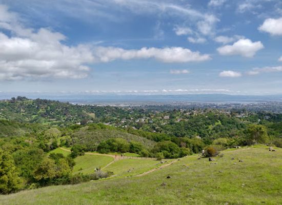 california/redwood-city/landmark/edgewood-park-natural-preserve