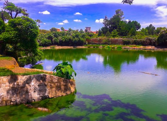 madagascar/antananarivo/landmark/croc-farm-ivato