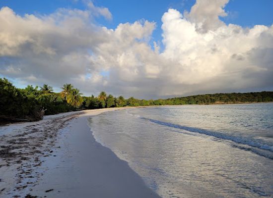 puerto-rico/vieques-island/landmark/media-luna-beach