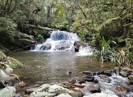 madagascar/masoala-national-park/landmark/andasibe-mantadia-national-park