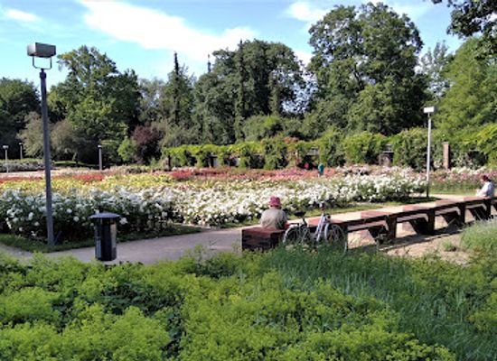 poland/szczecin-lagoon/landmark/rozanka-rose-garden