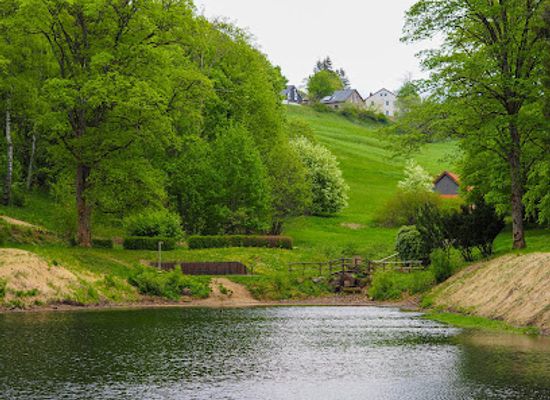germany/harz-national-park/landmark/samson-pit
