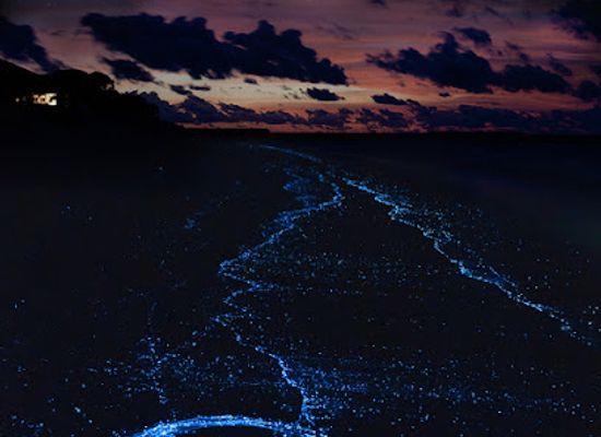 maldives/gaafu-dhaalu-atoll/landmark/vaadhoo