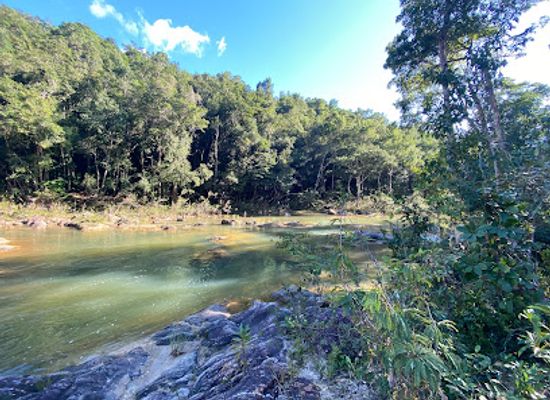 belize/the-cayes/landmark/mountain-pine-ridge-forest-reserve