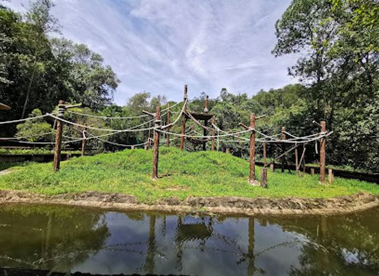 malaysia/sabah/landmark/lok-kawi-wildlife-park