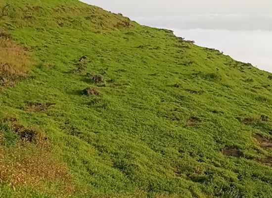 oman/dhofar-region/landmark/atilat-sifam