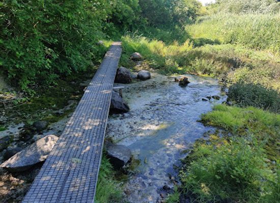 denmark/rold-skov/attraction/lille-blakilde
